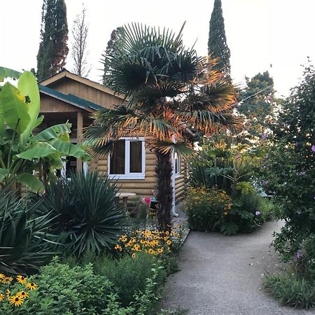 Hotel Гостевой Дом "Сария" Alakhadzi Exterior foto
