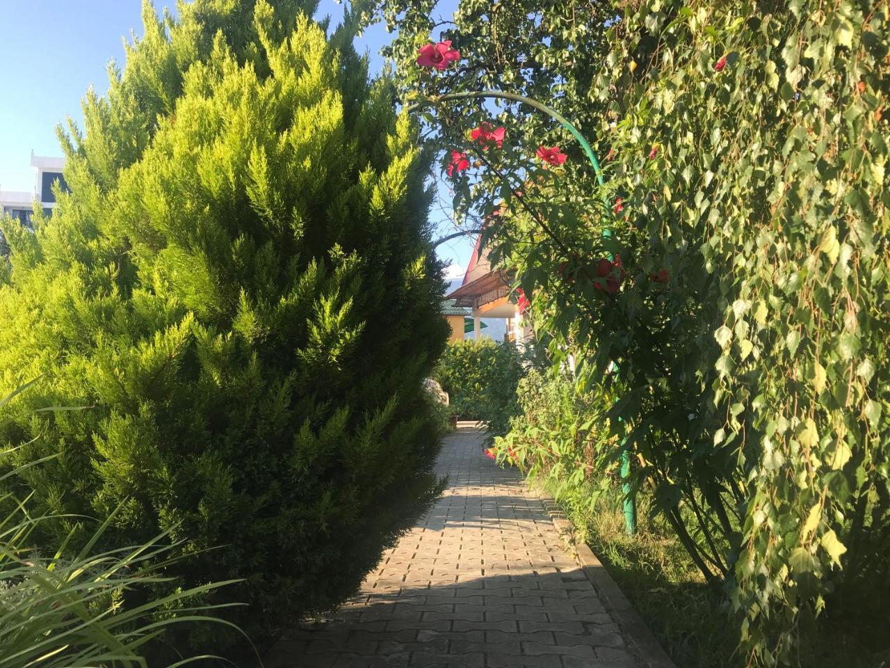 Hotel Гостевой Дом "Сария" Alakhadzi Exterior foto